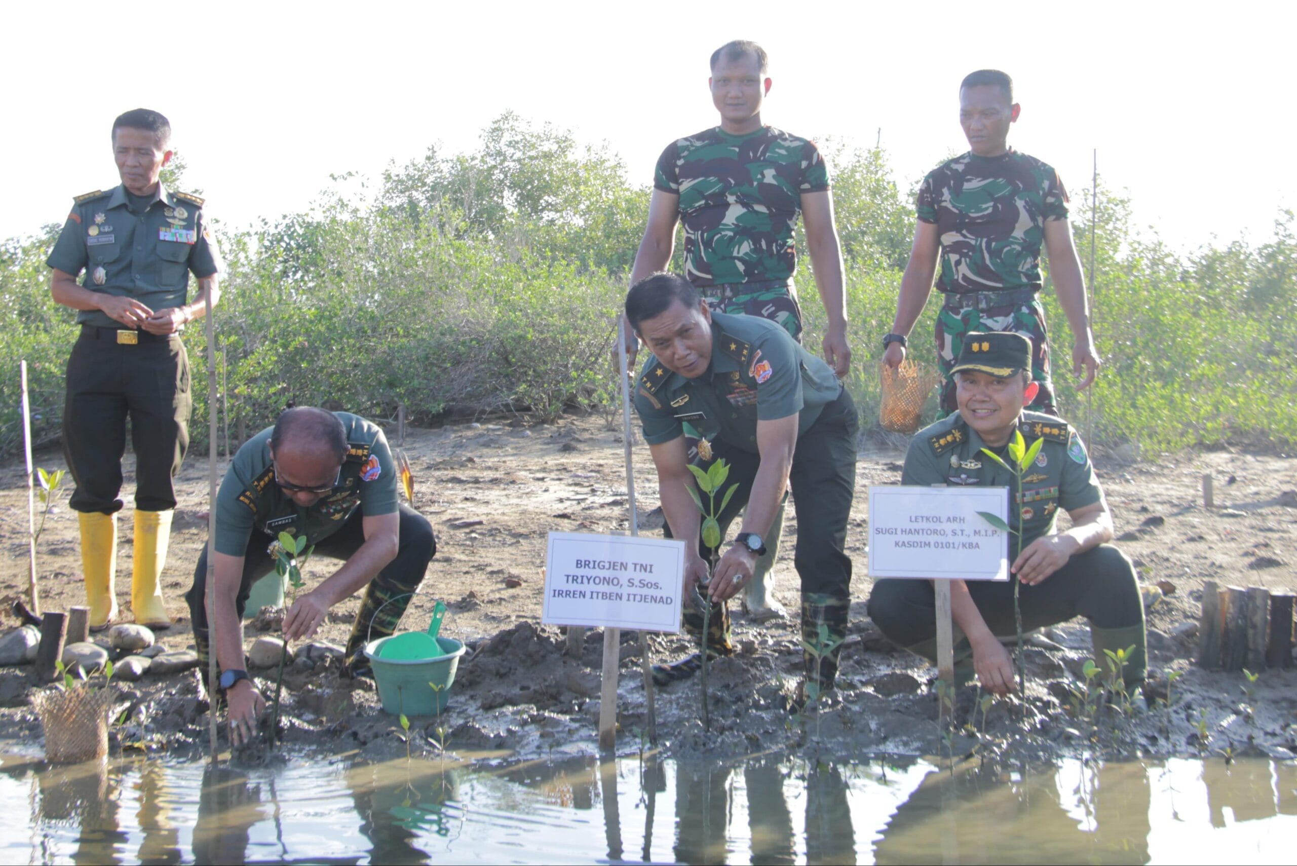 Tim Inspektorat Jenderal Angkatan Darat (Itjenad) yang dipimpin oleh Brigjen TNI Triyono, S.Sos., melaksanakan peninjauan pembibitan mangrove yang dikelola oleh Kodim 0101/Kota Banda Aceh di Desa Lampulo, Kecamatan Kuta Alam, Kota Banda Aceh, pada Rabu (16/10/2024).