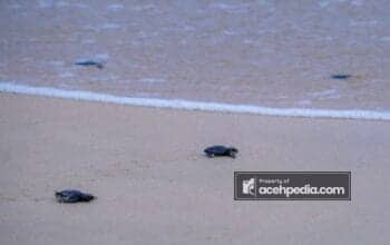 IMG-20260123-WA0025 IMG-20260123-WA0025