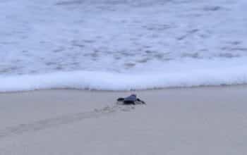 IMG-20260123-WA0026 IMG-20260123-WA0026