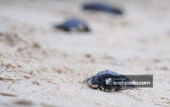 IMG-20260123-WA0027 IMG-20260123-WA0027