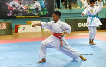 Sierkuit Series II 5