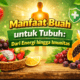 Manfaat buah untuk tubuh sangat luar biasa, mulai dari sumber energi alami hingga meningkatkan imunitas. Simak penjelasan lengkapnya di sini!