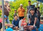 Gampong Tanjong Gelar Penyembelihan Hewan Qurban 12 Sapi dan 15 Kambing