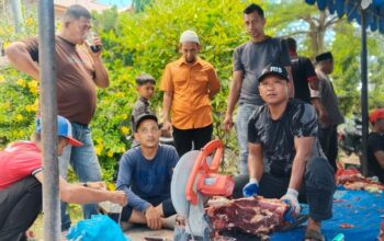 Gampong Tanjong Gelar Penyembelihan Hewan Qurban 12 Sapi dan 15 Kambing