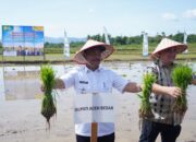 Wabup Aceh Besar Tanam Padi Serempak di Jantho, Kementan Dukung Swasembada Pangan