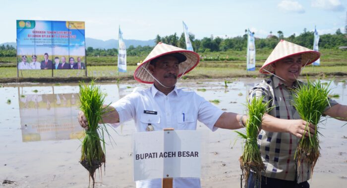 Wabup Aceh Besar Tanam Padi Serempak di Jantho, Kementan Dukung Swasembada Pangan