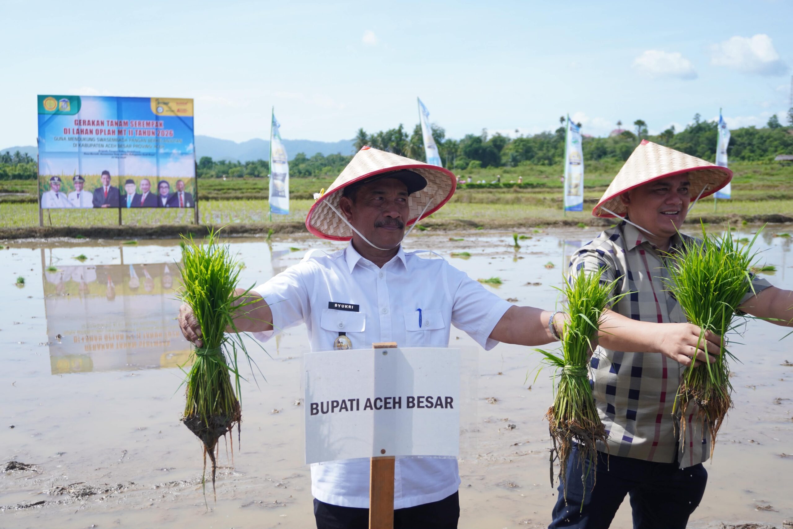 Wabup Aceh Besar bersama pejabat Kementan RI melakukan tanam padi serempak